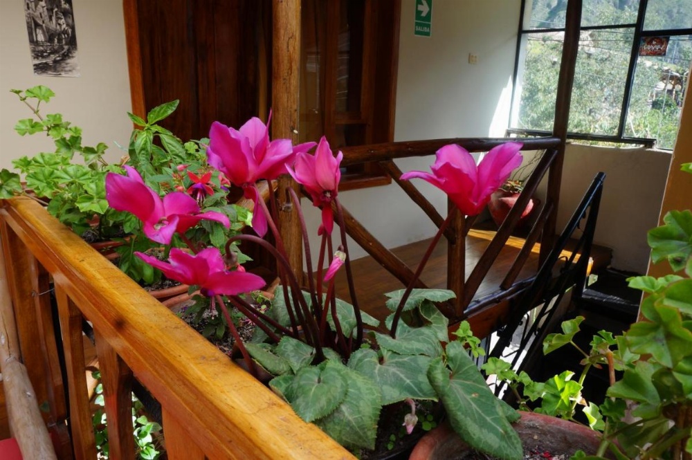 Ollantaytampu Hostel Patacalle Image 11